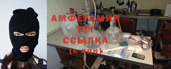Альфа ПВП Гусь-Хрустальный