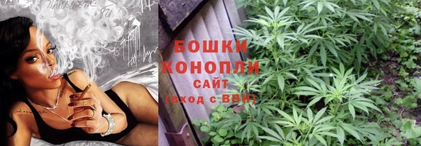 тгк Гусев