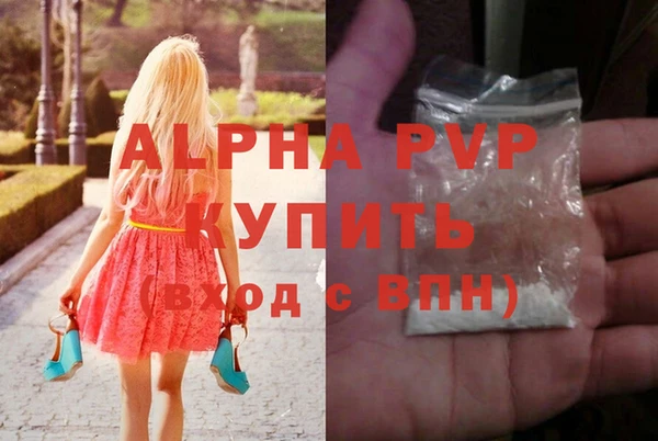 тгк Гусев