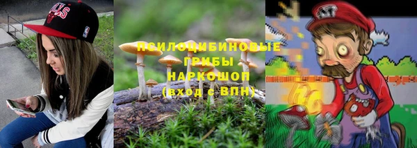 Альфа ПВП Гусь-Хрустальный