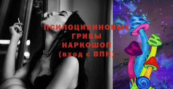 альфа пвп Гусиноозёрск