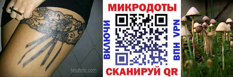 Галлюциногенные грибы Psilocybe  Купить где  Луховицы 